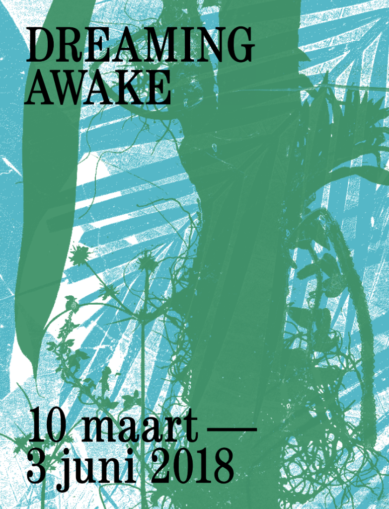 Dreaming Awake poster Dreaming Awake