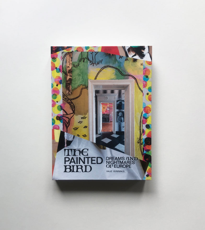 Painted Bird cover Painted Bird
