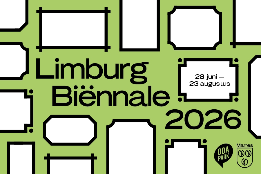 MARRES_LB26_Ads_Mediahuis_Digital_3:2