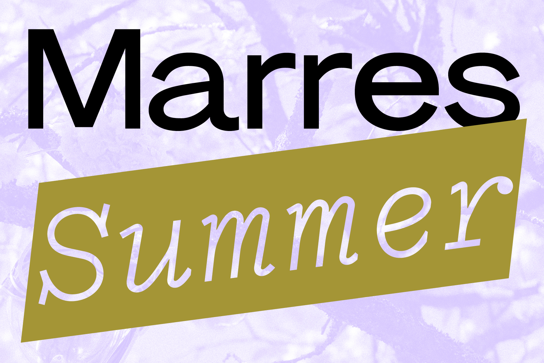 MAR_SummerProgram_Webimage